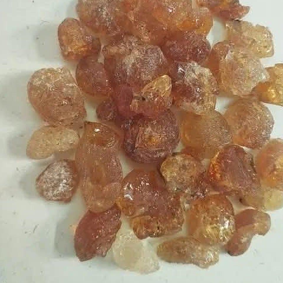 Pieces of natural babul gond, the gum that binds the colour in miniature painting